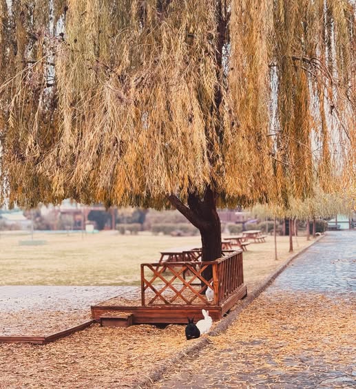 Kampüste Ara Tatil Öğrencilerimiz İçin Dinlenme ve Yenilenme Zamanı
